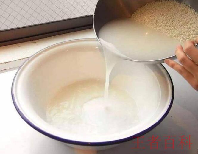 淘米水如何发酵