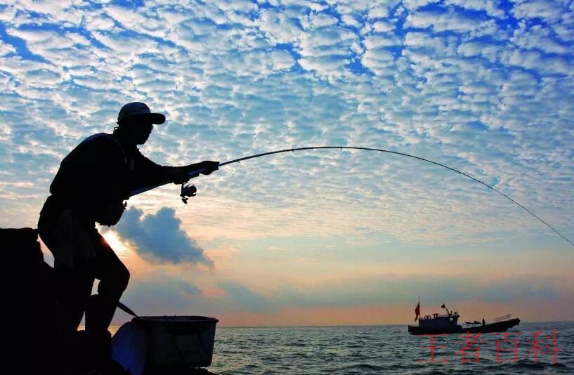 海杆钓鱼技巧有哪些