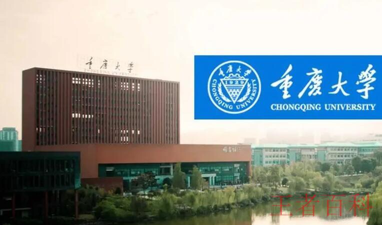 重庆211大学有哪些