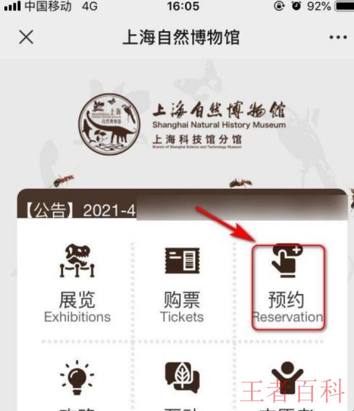 上海自然博物馆预约项目攻略是什么