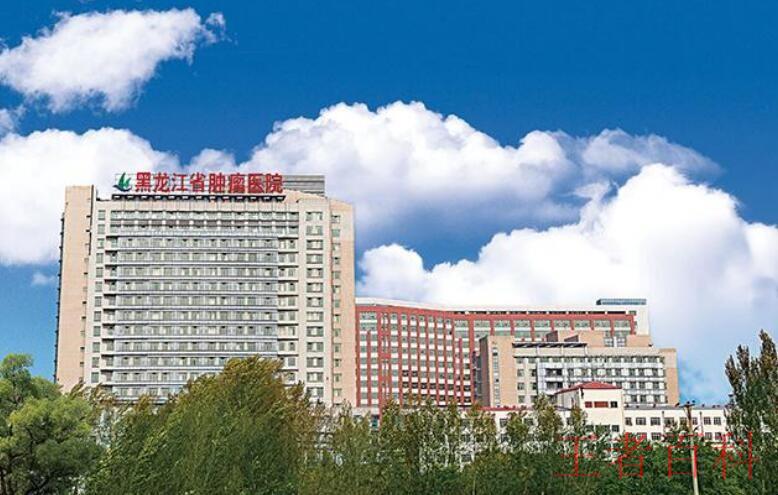 黑龙江省肿瘤医院预约挂号电话是多少