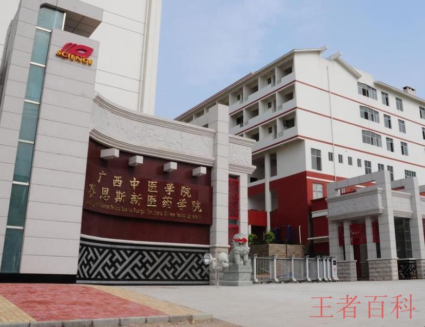 广西中医药大学赛恩斯新医药学院是公办还是民办