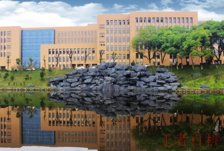 湖南理工职业技术学院是公办还是民办