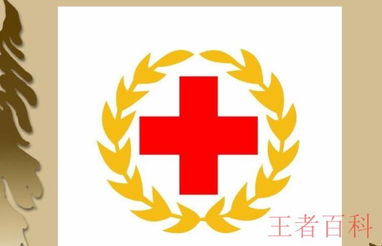 红十字国际委员会是什么