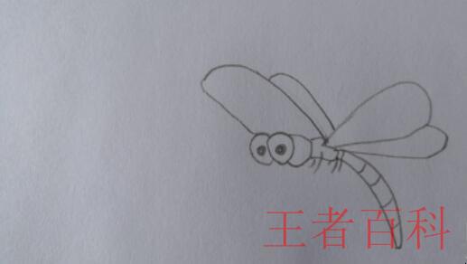 如何画蜻蜓简笔画
