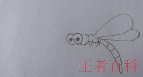 如何画蜻蜓简笔画