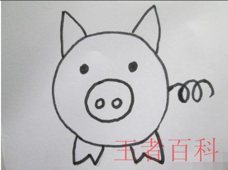 怎样画小猪