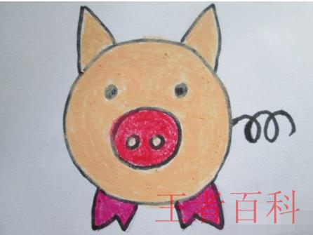 怎样画小猪