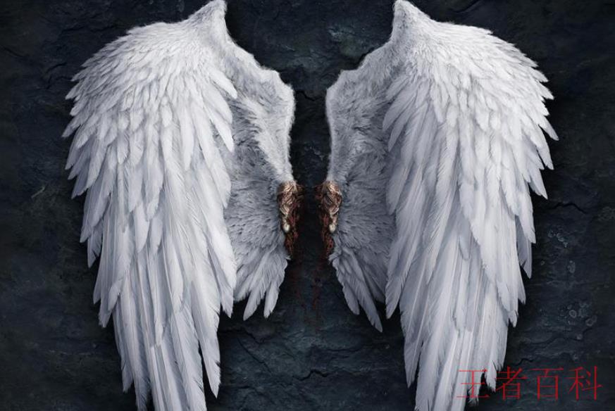 《天使的翅膀》