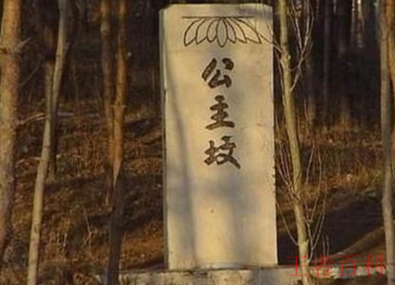 北京公主坟是哪位公主的