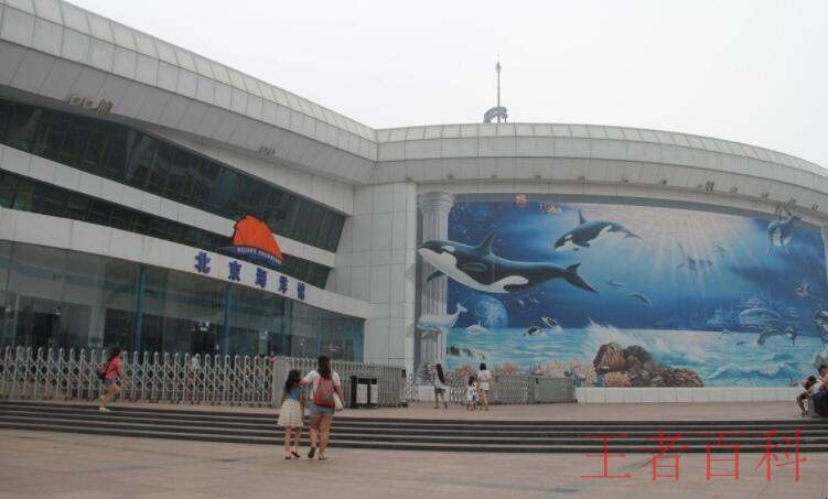 北京海洋馆在哪里