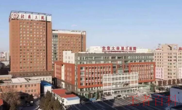 北京大学第三医院在哪里