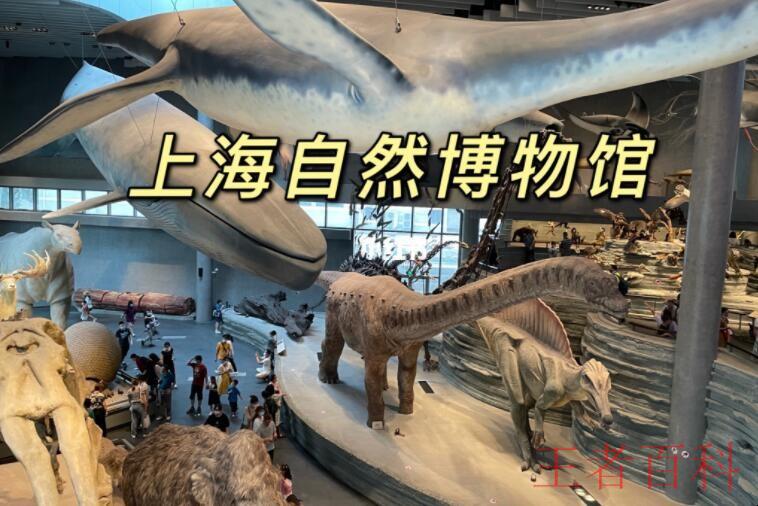 上海自然博物馆在哪里