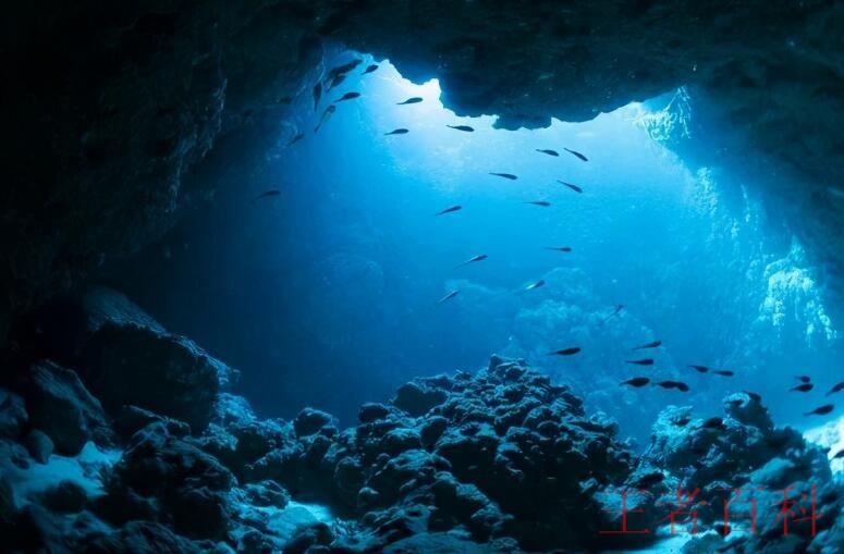 世界上最深的海沟位于哪个洋
