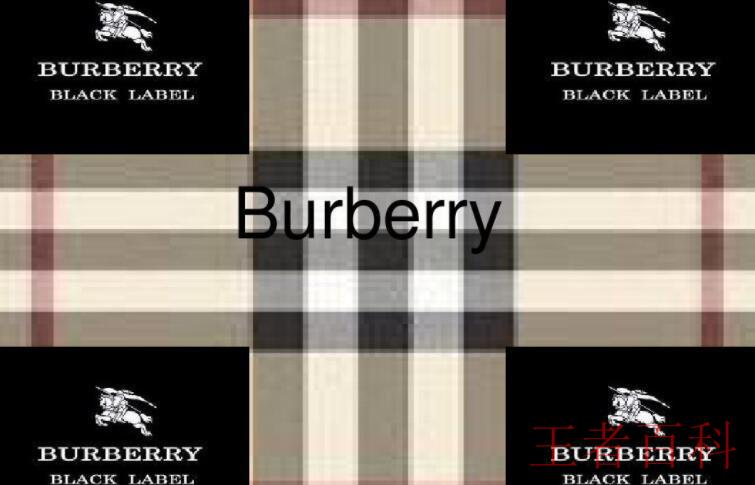burberry是什么档次
