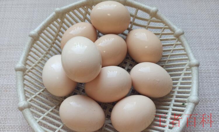 大量煮熟的鸡蛋如何保存