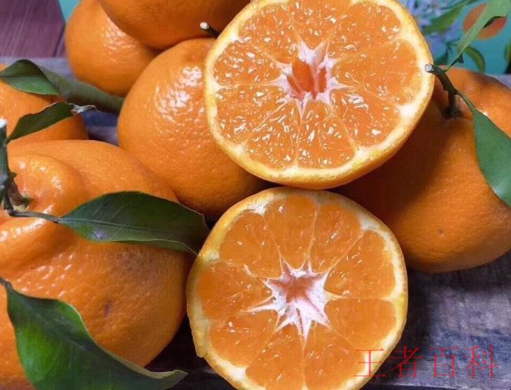 粑粑柑和丑橘有什么区别