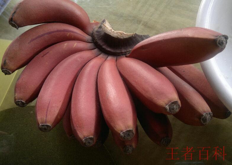 红香蕉怎么样才算熟