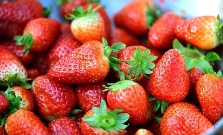 草莓保存技巧有什么