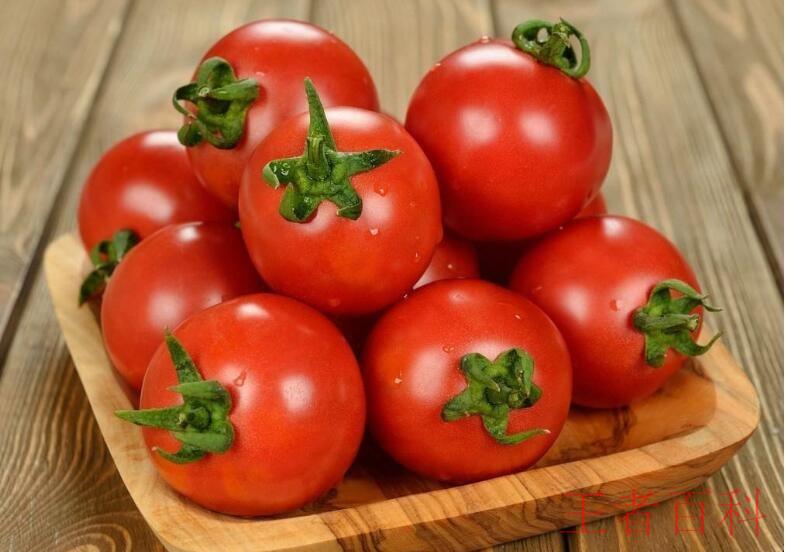 西红柿怎么保存