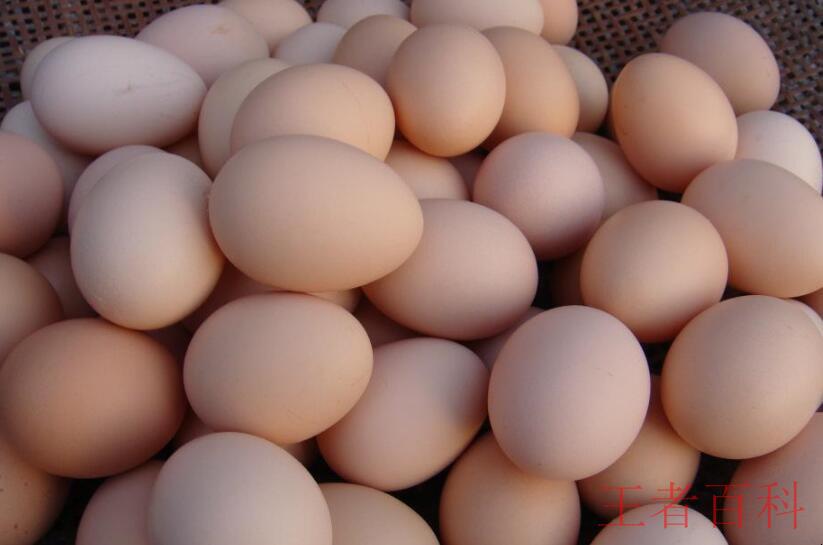 鸡蛋保存方法有哪些