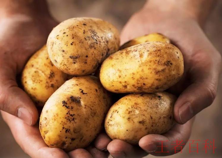 土豆能放多久