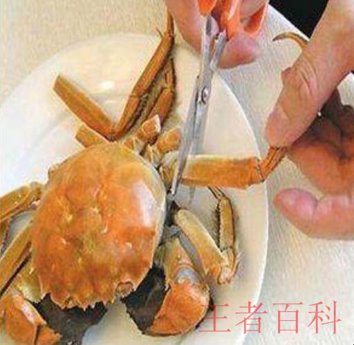 螃蟹的正确吃法有哪些