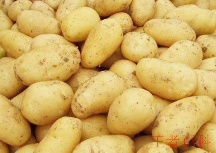 土豆怎么保存不发芽