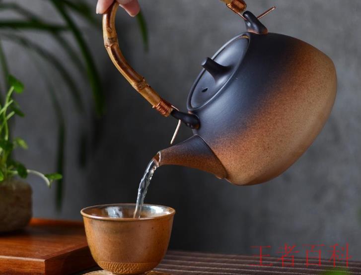 什么茶叶适合用蒸茶器