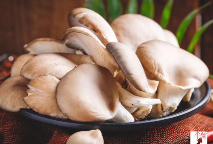 新鲜蘑菇怎么保存