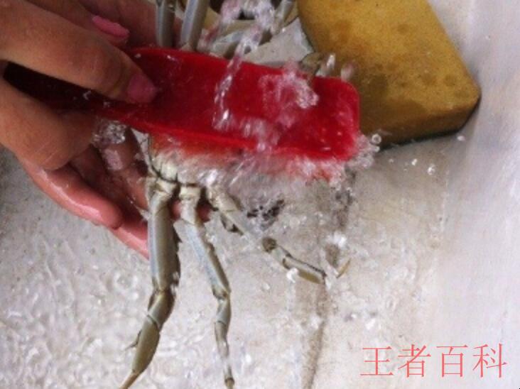 清蒸螃蟹如何清洗