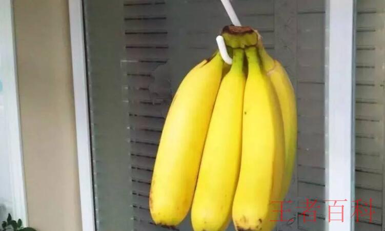 香蕉如何保存的久