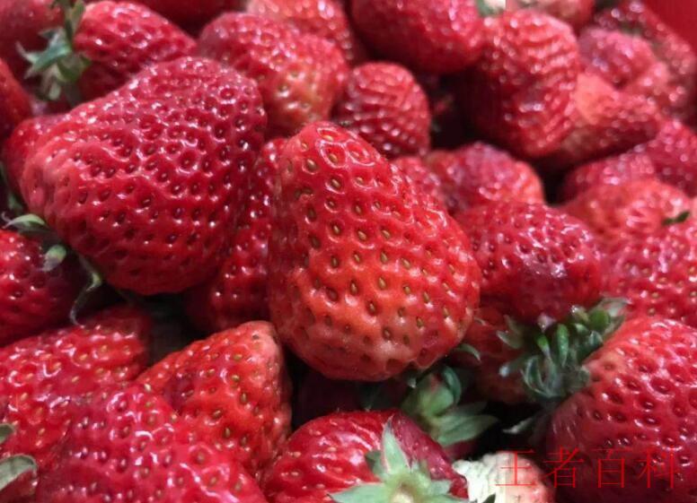 草莓放冰箱的正确方法是什么