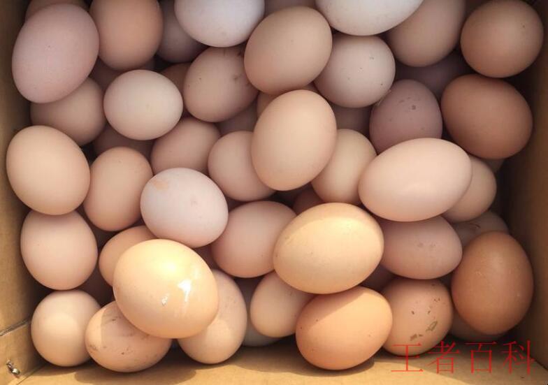 鸡蛋小苏打的实蛋做法是什么