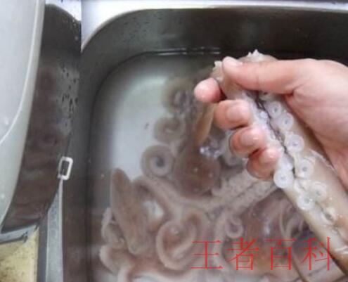 小章鱼怎么清洗