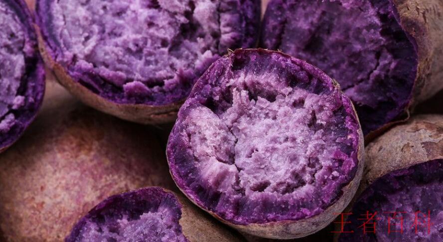 紫薯一年四季都有吗