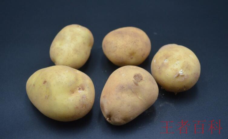土豆怎么保存不发绿不发芽