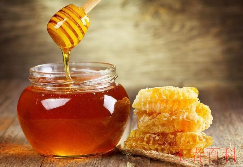 蜂蜜是蜜蜂吐出来的还是拉出来的