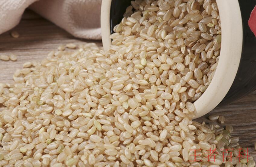糙米是什么米