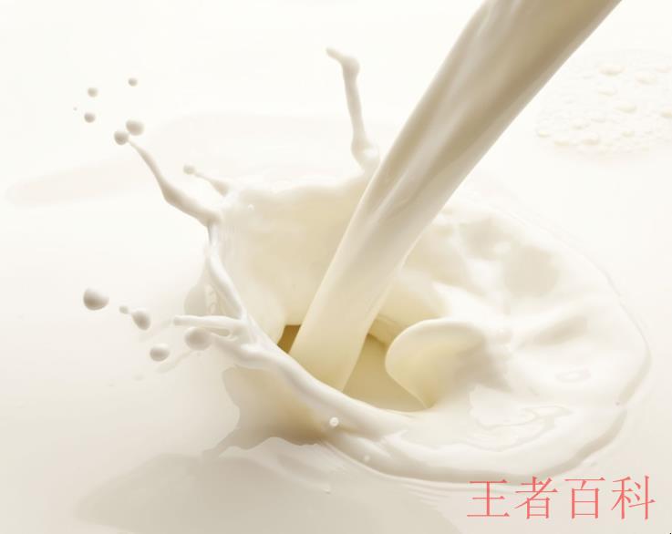 牛奶的营养成分有哪些