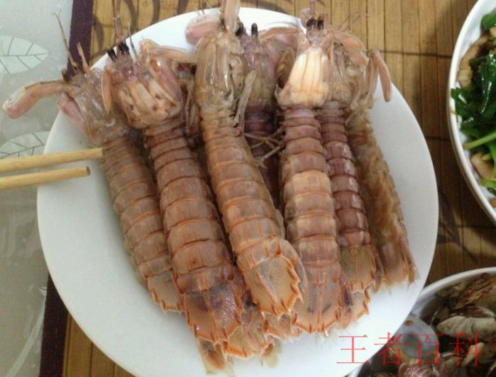 清蒸皮皮虾的特色是什么