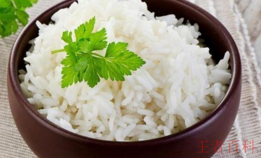 米饭主要含什么营养成分