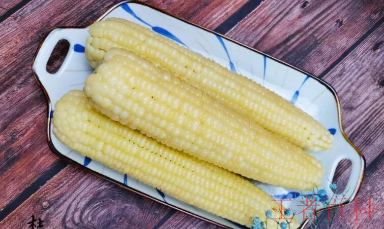 玉米是不是碳水化合物