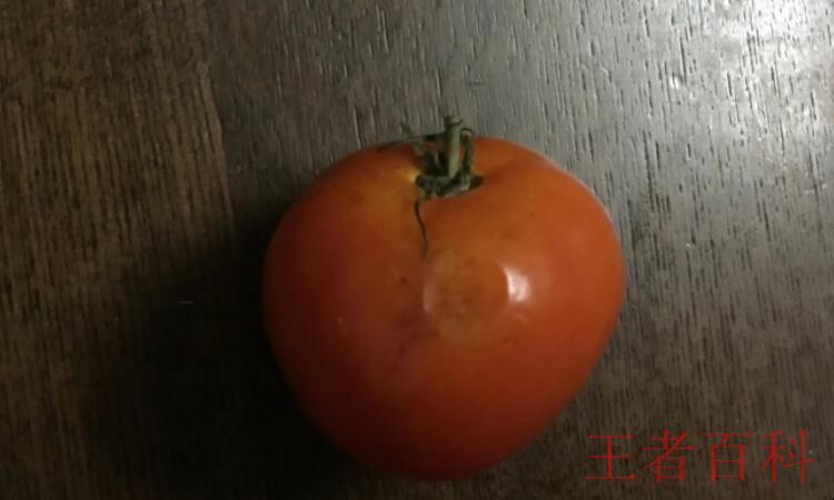 西红柿烂了一点还能吃吗