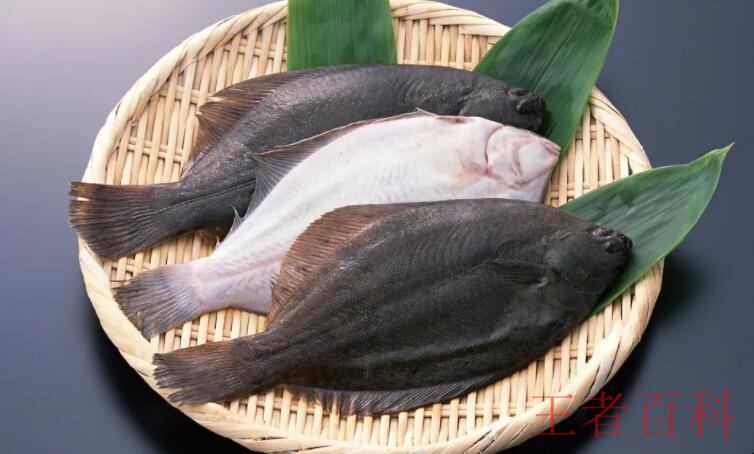 鸦片鱼是什么鱼