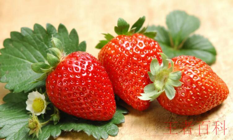 草莓能叠在一起吗