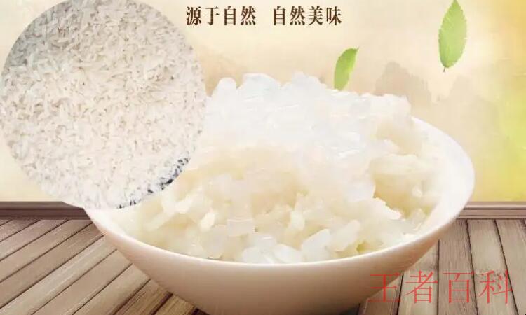 魔芋米可以长期代替米饭吗