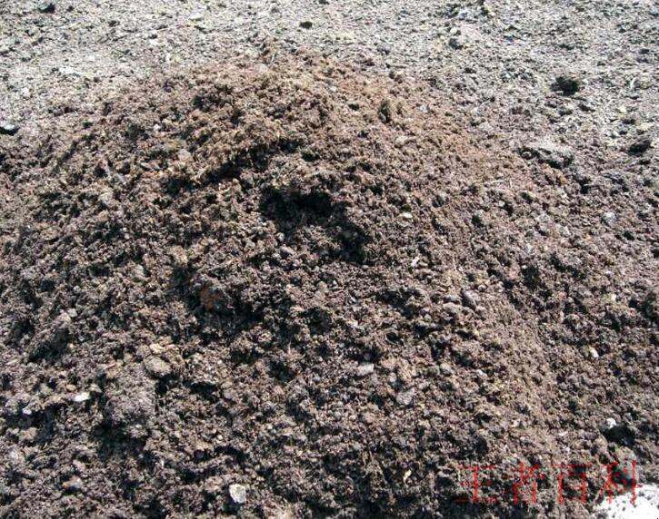 泥炭土是什么土