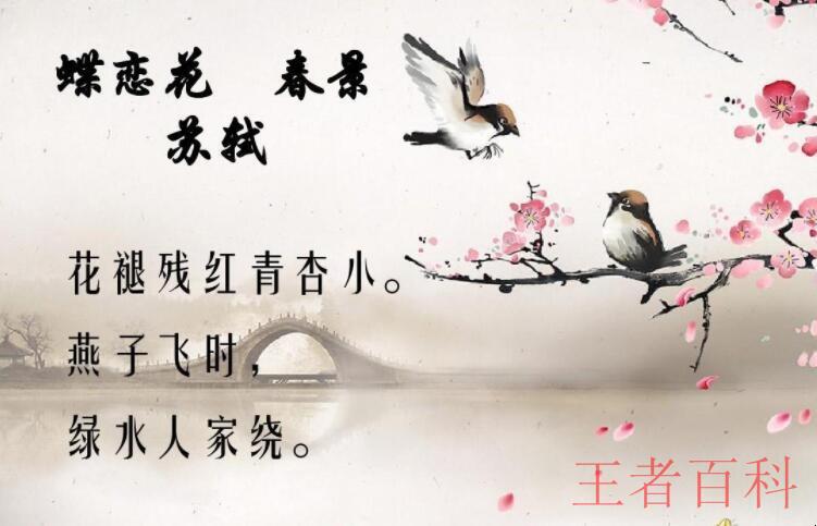 苏轼的《蝶恋花·春景》原文是什么
