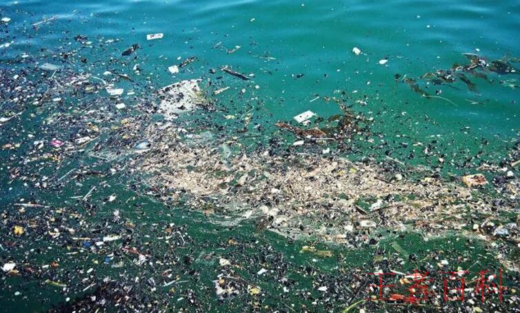海洋污染的危害有哪些